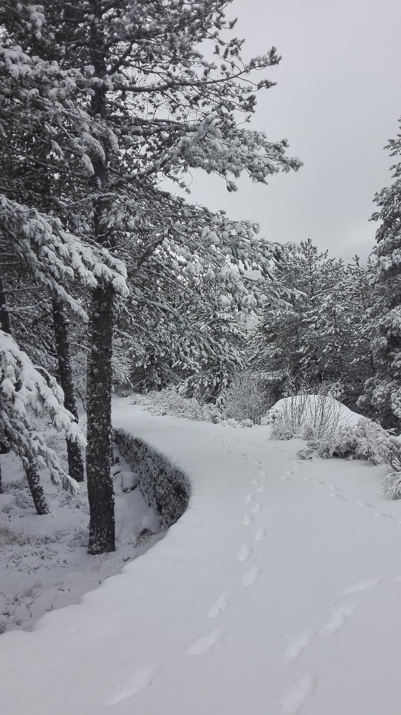 Pousada Da Serra Da Estrela Covilha Ngoại thất bức ảnh